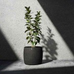 Cosapots KEGGO 80 Round Planter D80x69cm Handcrafted Fiberglass - Plastic Pots-Cachepot, Planters & Containers
