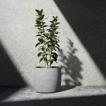 Cosapots KEGGO 80 Round Planter D80x69cm Handcrafted Fiberglass - Plastic Pots-Cachepot, Planters & Containers