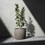 Cosapots KEGGO 80 Round Planter D80x69cm Handcrafted Fiberglass - Plastic Pots-Cachepot, Planters & Containers
