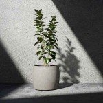 Cosapots KEGGO 80 Round Planter D80x69cm Handcrafted Fiberglass - Plastic Pots-Cachepot, Planters & Containers