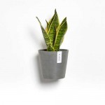 Επιτοίχια Γλάστρα Amsterdam Wall Ø20x17,5εκ. Ecopots
