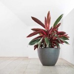 Οβάλ Γλάστρες Antwerp Ø30x25εκ. Ecopots Συνθετικές