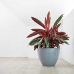 Οβάλ Γλάστρες Antwerp Ø40x30εκ. Ecopots Συνθετικές