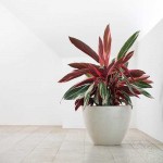 Οβάλ Γλάστρες Antwerp Ø50x37,5εκ. Ecopots Συνθετικές