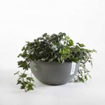 Οβάλ Γλάστρες Brussels Ø25x12εκ. Ecopots