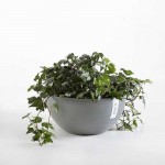 Οβάλ Γλάστρες Brussels Ø30x14εκ. Ecopots