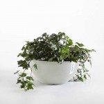 Οβάλ Γλάστρες Brussels Ø35x16,5εκ. Ecopots