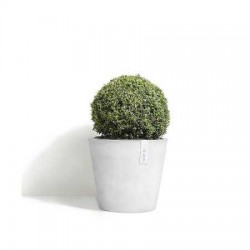 Ecopots Amsterdam Pots
