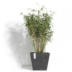 Γλάστρες Ecopots Rotterdam Τετράγωνες Οικολογικές Πλαστικού Ανακύκλωσης