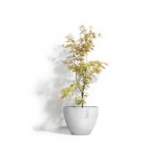 Ecopots