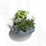 Hanging, Wall, Floor & Garden Planters