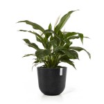 Πλαστική Γλάστρα Oslo Στρογγυλή Ø25x21,8εκ. Πλαστική Ανακύκλωσης - Ανακυκλωμένες Πλαστικές Γλάστρες & Πούδρα Πέτρας
