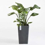Γλάστρες Rotterdam Mid High Ψηλές 32,5x32,5x(Υ)56εκ. 