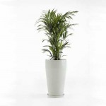 Ψηλή Πλαστική Γλάστρα Sankara High Ecopots Ø45x75εκ.