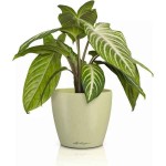 LECHUZA Cachepot DECO 10 Φιστικί Ø11x10cm Πλαστική Γλάστρα-Κασπώ - Στρογγυλές Πλαστικές Γλάστρες Εσωτερικών Χώρων
