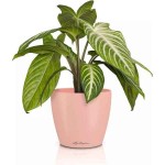 LECHUZA Cachepot DECO 12 Σομόν Ø13x12cm Πλαστική Γλάστρα-Κασπώ - Στρογγυλές Πλαστικές Γλάστρες Εσωτερικών Χώρων