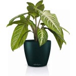 LECHUZA Cachepot DECO 12 Πεύκου Ø13x12cm Πλαστική Γλάστρα-Κασπώ - Στρογγυλές Πλαστικές Γλάστρες Εσωτερικών Χώρων