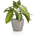 LECHUZA Cachepot DECO 21 Sand Brown Ø22x20.5cm Plastic Planter - Round Planters-Cachepots