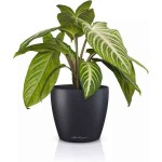LECHUZA Cachepot DECO 12 Σχιστόλιθος Ø13x12cm Πλαστική Γλάστρα-Κασπώ - Στρογγυλές Πλαστικές Γλάστρες Εσωτερικών Χώρων