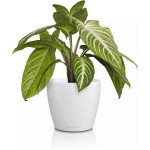 LECHUZA Cachepot DECO 10 Λευκή Ø11x10cm Πλαστική Γλάστρα-Κασπώ - Στρογγυλές Πλαστικές Γλάστρες Εσωτερικών Χώρων