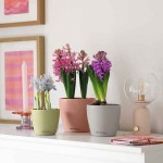LECHUZA Cachepot DECO 12 Σχιστόλιθος Ø13x12cm Πλαστική Γλάστρα-Κασπώ - Στρογγυλές Πλαστικές Γλάστρες Εσωτερικών Χώρων