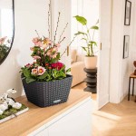 BACINO Cottage 30 Γρανίτης 30x30x(Υ)18cm Αυτοποτιζόμενη Γλάστρα & Κασπώ LECHUZA - Τετράγωνες Αυτοποτιζόμενες Γλάστρες