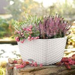 BACINO Cottage 30 Γρανίτης 30x30x(Υ)18cm Αυτοποτιζόμενη Γλάστρα & Κασπώ LECHUZA - Τετράγωνες Αυτοποτιζόμενες Γλάστρες