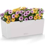 BALCONERA Color 50 Light Grey 50x19x19cm LECHUZA Self-Watering Planter & Window Box - Automatic Watering Planters