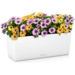 BALCONERA Color 40 Λευκή 40x19x19cm LECHUZA Αυτοποτιζόμενη Ζαρντινιέρα & Κασπώ - Αυτοποτιζόμενες Ζαρντινιέρες 