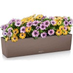BALCONERA Color 80 Nutmeg 79x19x19cm LECHUZA Self-Watering Planter & Window Box - Automatic Watering Planters