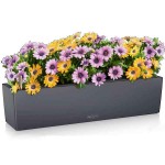 BALCONERA Color 80 Slate 79x19x19cm LECHUZA Self-Watering Planter & Window Box - Automatic Watering Planters