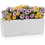BALCONERA Stone 50 Λευκή Ζαρντινιέρα Αυτοποτιζόμενη 50x19x19cm LECHUZA - Αυτοποτιζόμενες Ζαρντινιέρες