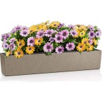 BALCONERA Stone 80 Μπεζ Ζαρντινιέρα Αυτοποτιζόμενη 79x19x19cm LECHUZA - Αυτοποτιζόμενες Ζαρντινιέρες