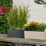BALCONERA Stone 50 Γκρι Ζαρντινιέρα Αυτοποτιζόμενη 50x19x19cm LECHUZA - Αυτοποτιζόμενες Ζαρντινιέρες