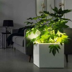 CANTO Premium Low LED 40 Φωτιζόμενη Γλάστρα LECHUZA