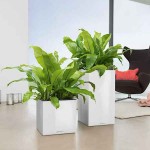 CANTO Premium High 40 Αυτοποτιζόμενη Γλάστρα LECHUZA