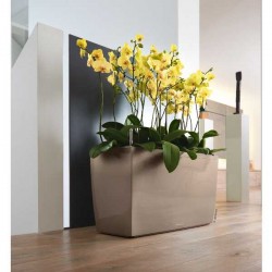 Rectangular Planter 75x30x(H)42.5cm Self-Watering CARARO 75