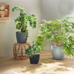 CLASSICO Color ECO 28 Αυτοποτιζόμενη Γλάστρα LECHUZA