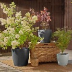 CLASSICO Color ECO 28 Αυτοποτιζόμενη Γλάστρα LECHUZA