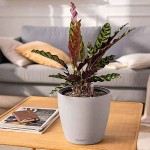 CLASSICO Color LS 35 Λευκή Ø34,5x32,5cm LECHUZA Αυτοποτιζόμενη Γλάστρα & Κασπώ - Αυτοποτιζόμενες Γλάστρες