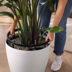 CLASSICO Color LS 28 Λευκή Ø27,5x26cm LECHUZA Αυτοποτιζόμενη Γλάστρα & Κασπώ - Αυτοποτιζόμενες Γλάστρες