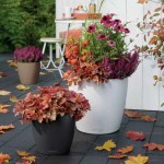 CLASSICO Color 12 Λευκή Ø13x12cm Στρογγυλή Αυτοποτιζόμενη Γλάστρα & Κασπώ LECHUZA - Στρογγυλές Αυτοποτιζόμενες Γλάστρες
