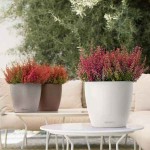 CLASSICO Color 12 Λευκή Ø13x12cm Στρογγυλή Αυτοποτιζόμενη Γλάστρα & Κασπώ LECHUZA - Στρογγυλές Αυτοποτιζόμενες Γλάστρες