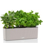 CUBE Color Triple Καφέ Άμμου 40x14x14cm Ζαρντινιέρα Αυτοποτιζόμενη με Άγκιστρα Μπαλκονιού LECHUZA - Αυτοποτιζόμενες Ζαρντινιέρες Μπαλκονιών