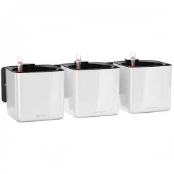 LECHUZA Green Wall Home Kit Glossy White Self-Watering Planter - Vertical Gardens & Automatic Watering Planters