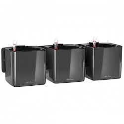 LECHUZA Green Wall Home Kit Glossy Charcoal Self-Watering Planter - Vertical Gardens & Automatic Watering Planters
