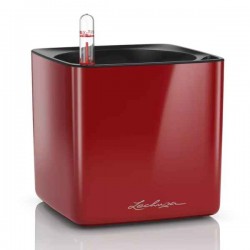 CUBE Glossy 14 Κόκκινο Σκάρλετ 14x14x14cm LECHUZA Αυτοποτιζόμενη Τετράγωνη Γλάστρα - Αυτοποτιζόμενες Τετράγωνες Γλάστρες 
