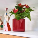 CUBE Glossy 14 Κόκκινο Σκάρλετ 14x14x14cm LECHUZA Αυτοποτιζόμενη Τετράγωνη Γλάστρα - Αυτοποτιζόμενες Τετράγωνες Γλάστρες 