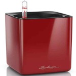 CUBE Glossy 16 Κόκκινο Σκάρλετ 17x17x16cm LECHUZA Αυτοποτιζόμενη Τετράγωνη Γλάστρα - Αυτοποτιζόμενες Τετράγωνες Γλάστρες 