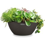 CUBETO Stone 30 Black D30x13cm Self-Watering Planter-Cachepot LECHUZA Complete - Automatic Watering Bowl Planters